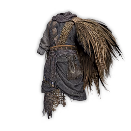 Champion's Robes icon