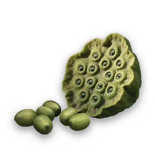 Emerald Lotus Seed icon