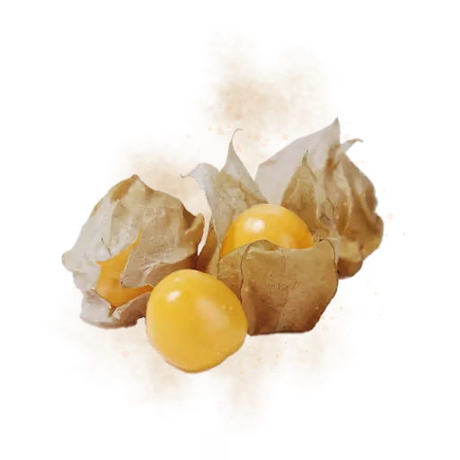 Lantern Fruit icon