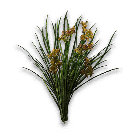 Soft Rush Flowers icon